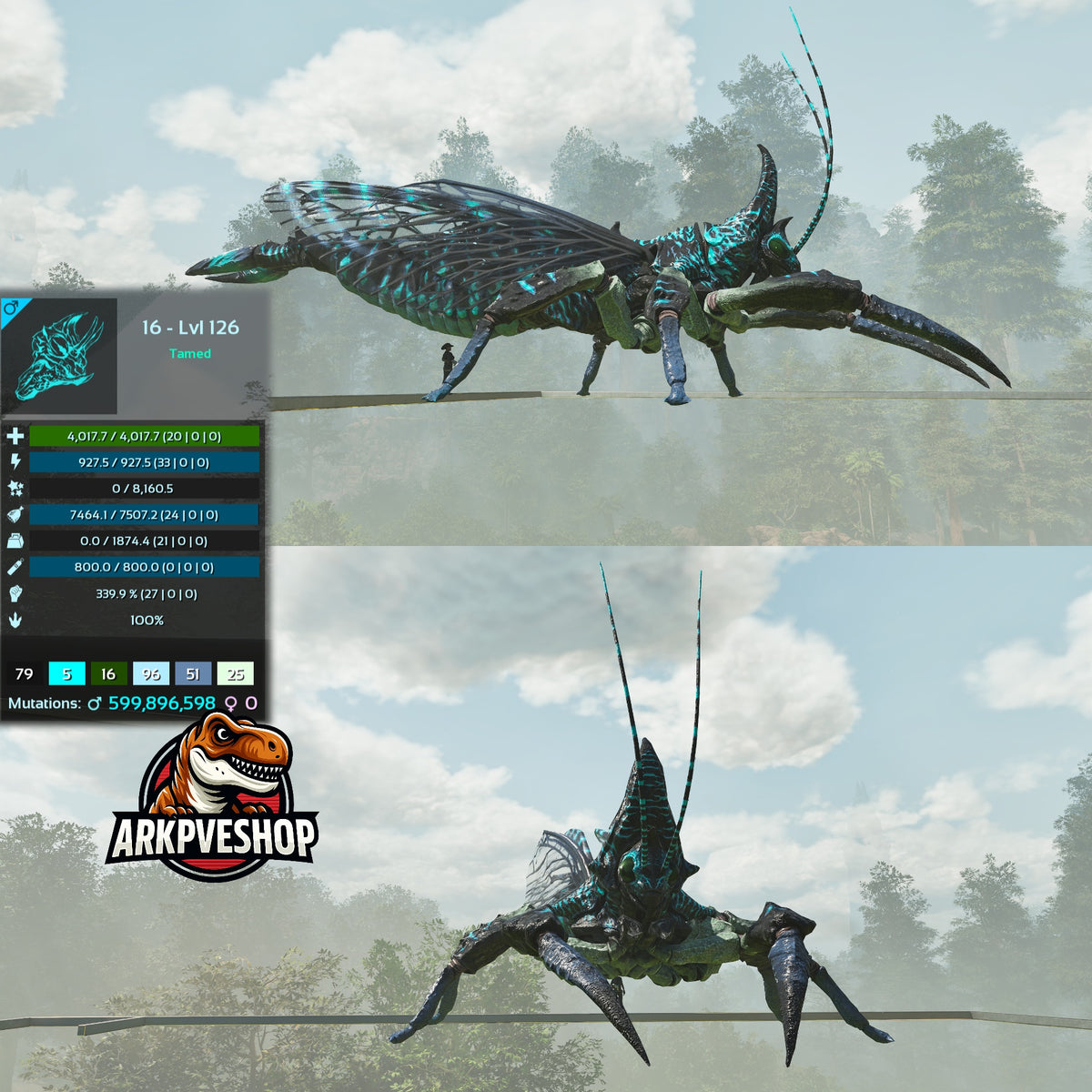 Rhyniognatha Rhynio High&Low Lvls