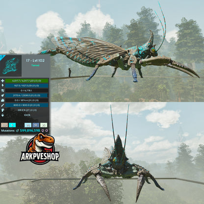 Rhyniognatha Rhynio High&Low Lvls