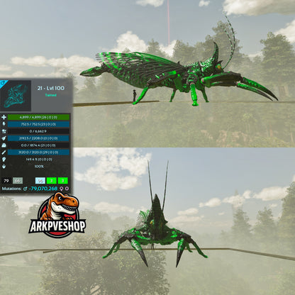 Rhyniognatha Rhynio High&Low Lvls
