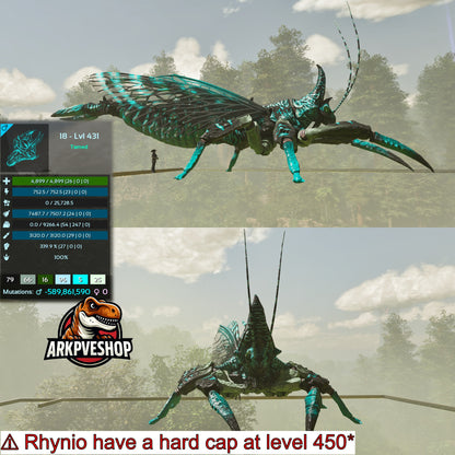 Rhyniognatha Rhynio High&Low Lvls