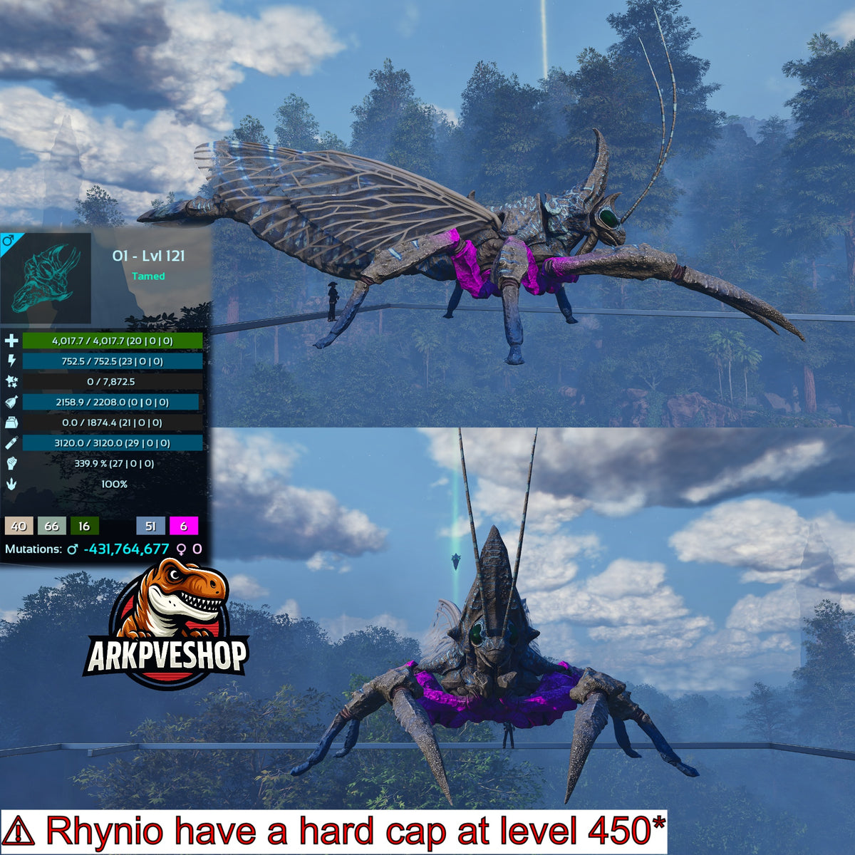 Rhyniognatha Rhynio High&Low Lvls