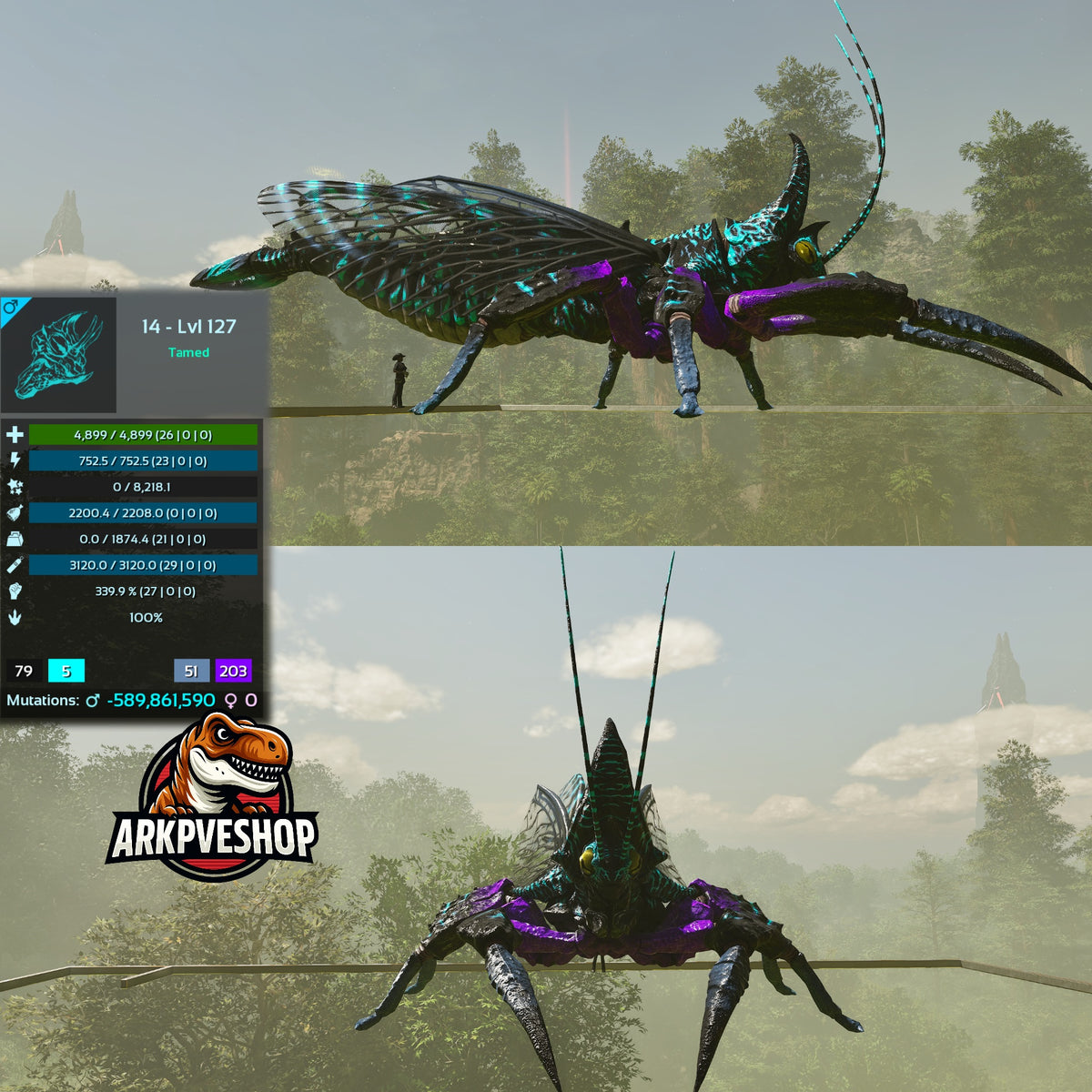 Rhyniognatha Rhynio High&Low Lvls