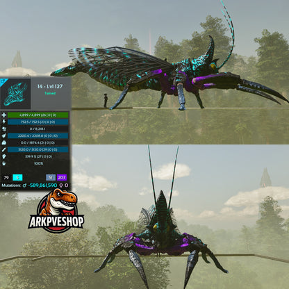 Rhyniognatha Rhynio High&Low Lvls
