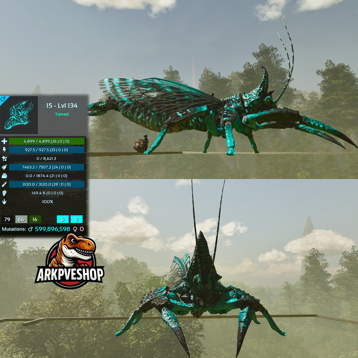 Rhyniognatha Rhynio High&Low Lvls