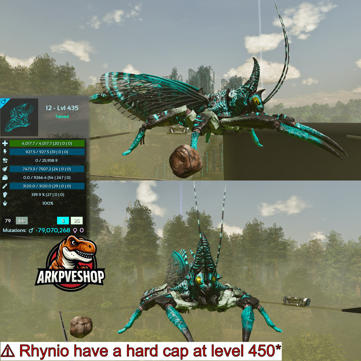 Rhyniognatha Rhynio High&Low Lvls