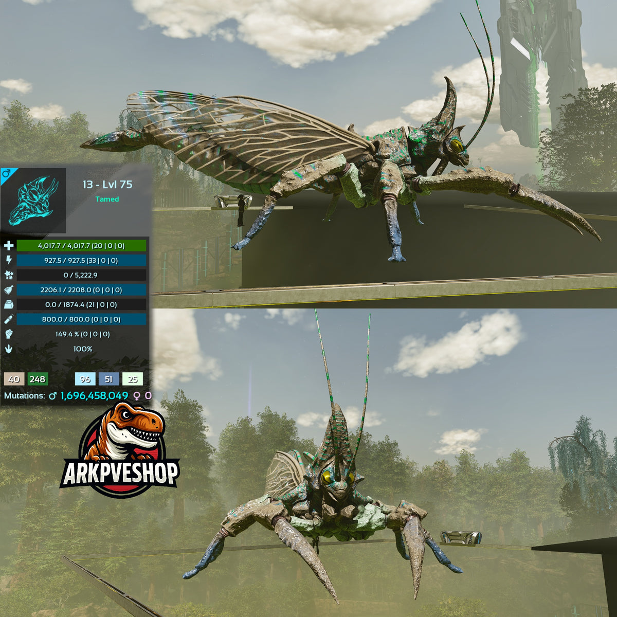 Rhyniognatha Rhynio High&Low Lvls