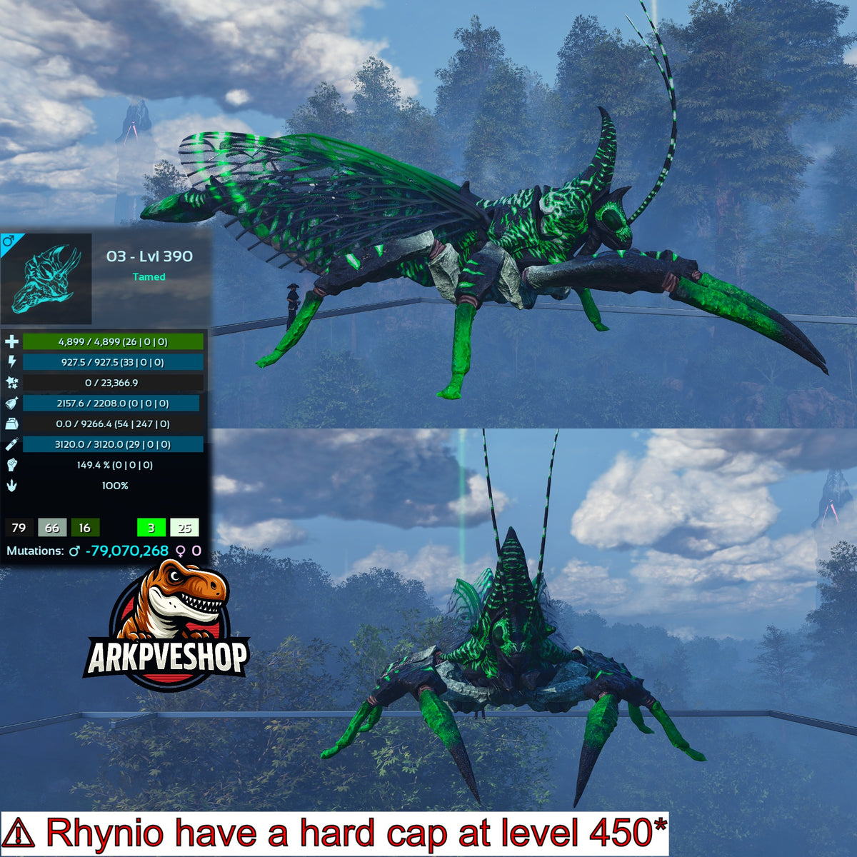 Rhyniognatha Rhynio High&Low Lvls