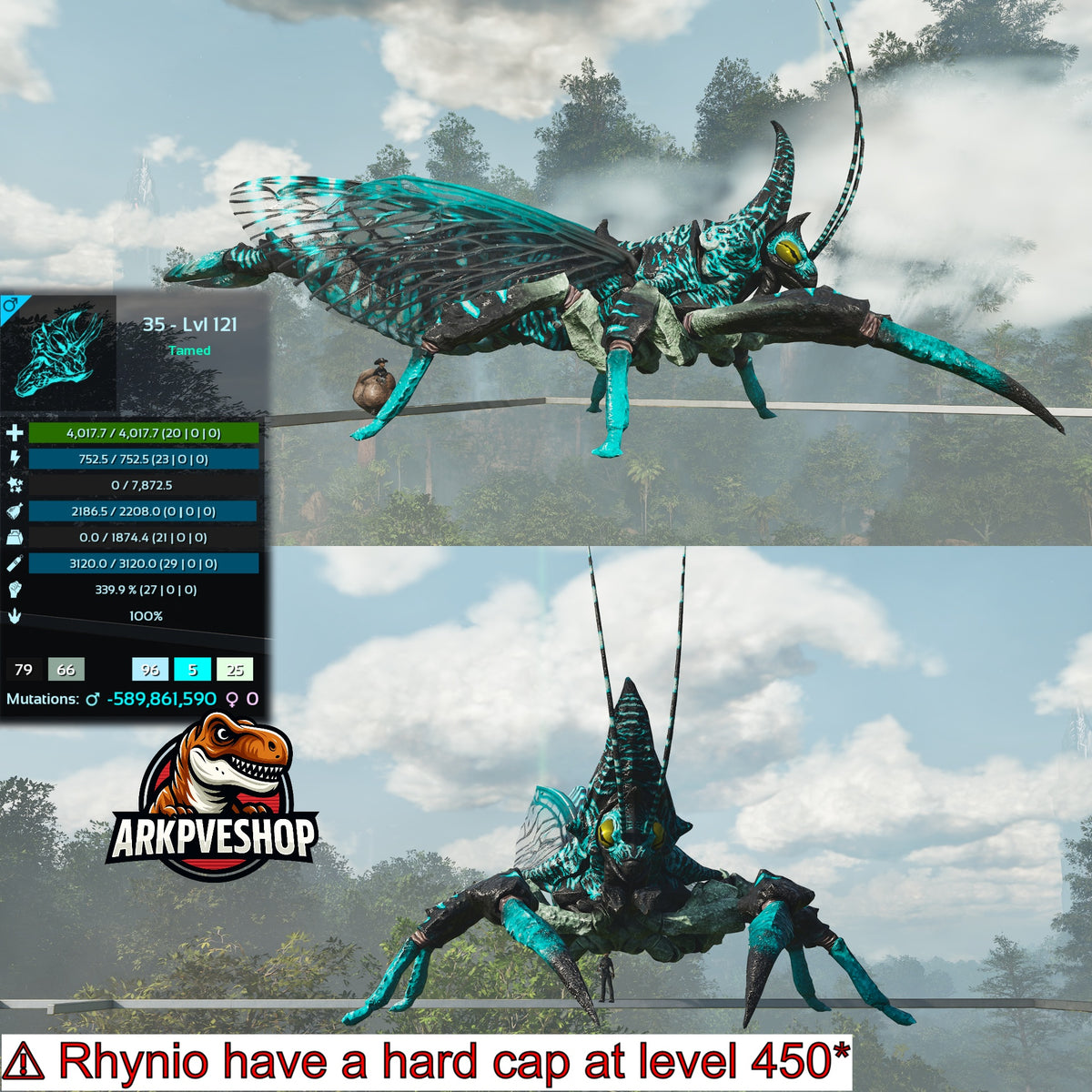 Rhyniognatha Rhynio High&Low Lvls