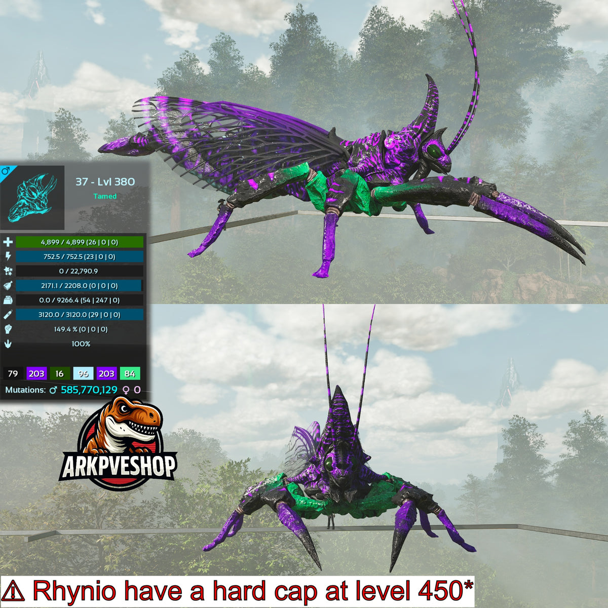 Rhyniognatha Rhynio High&Low Lvls