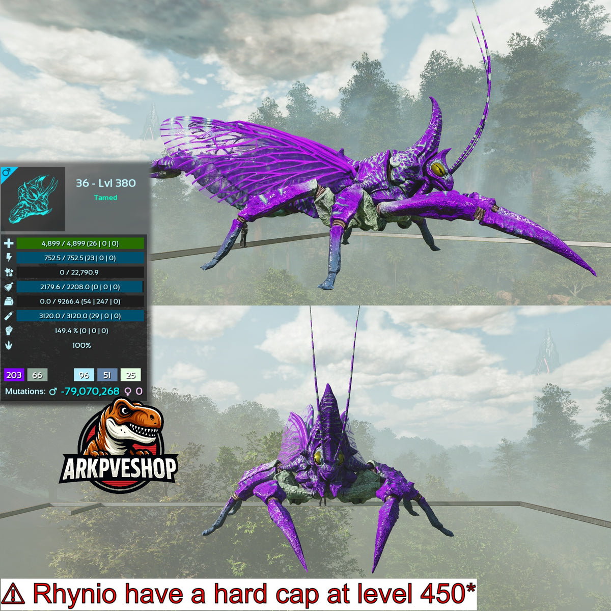 Rhyniognatha Rhynio High&Low Lvls