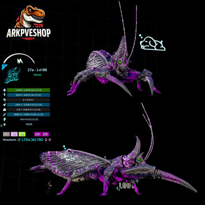 Rhyniognatha Rhynio High&Low Lvls