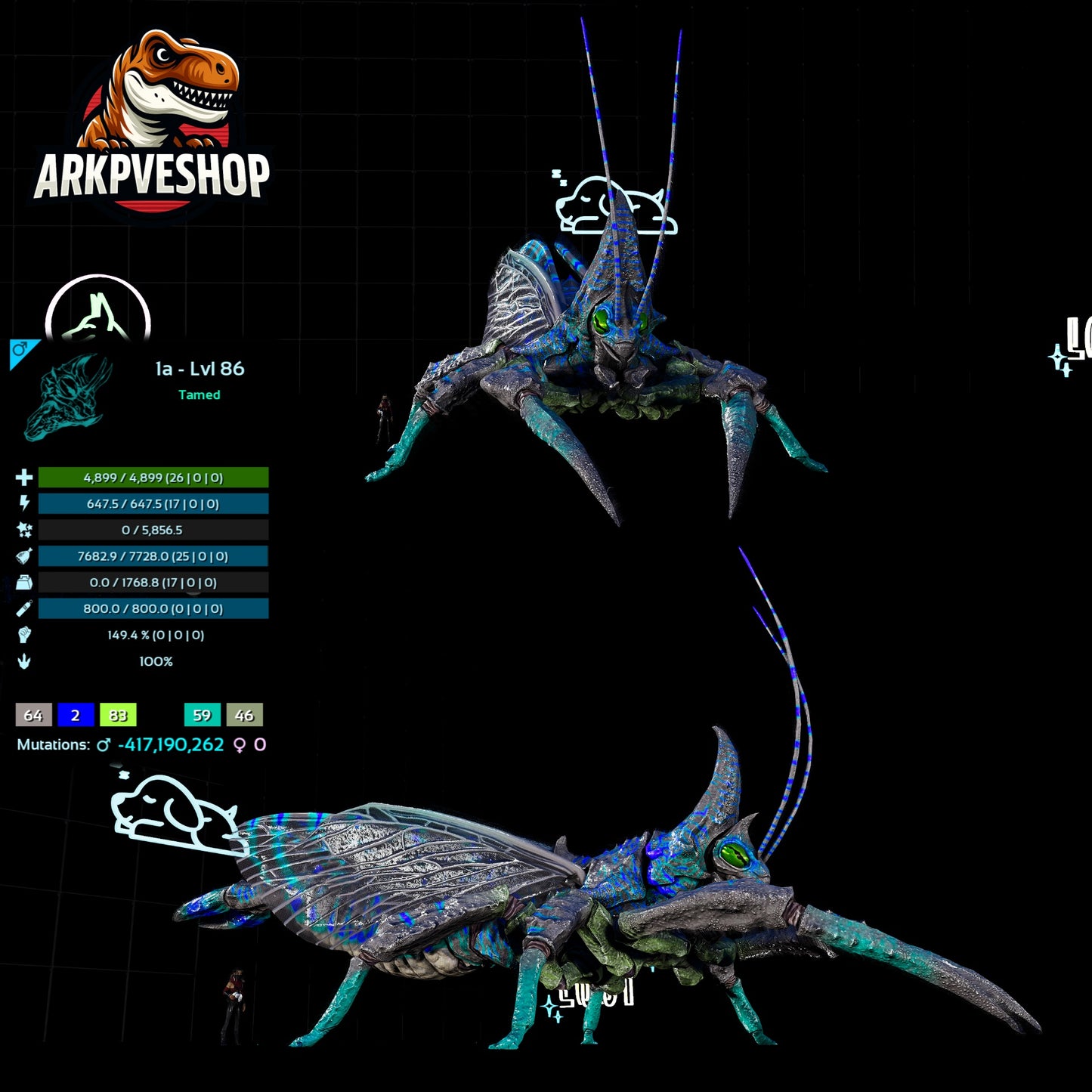 Rhyniognatha Rhynio High&Low Lvls