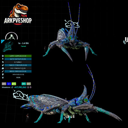 Rhyniognatha Rhynio High&Low Lvls