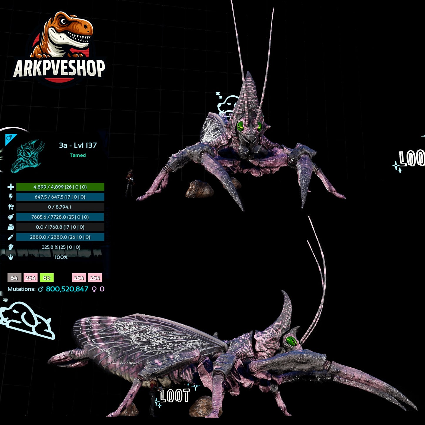 Rhyniognatha Rhynio High&Low Lvls