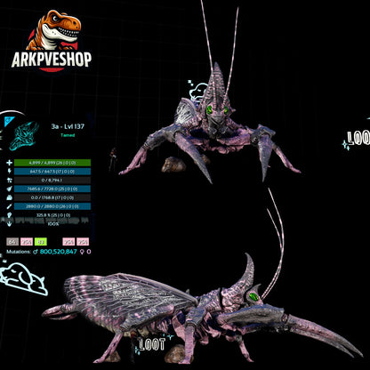 Rhyniognatha Rhynio High&Low Lvls