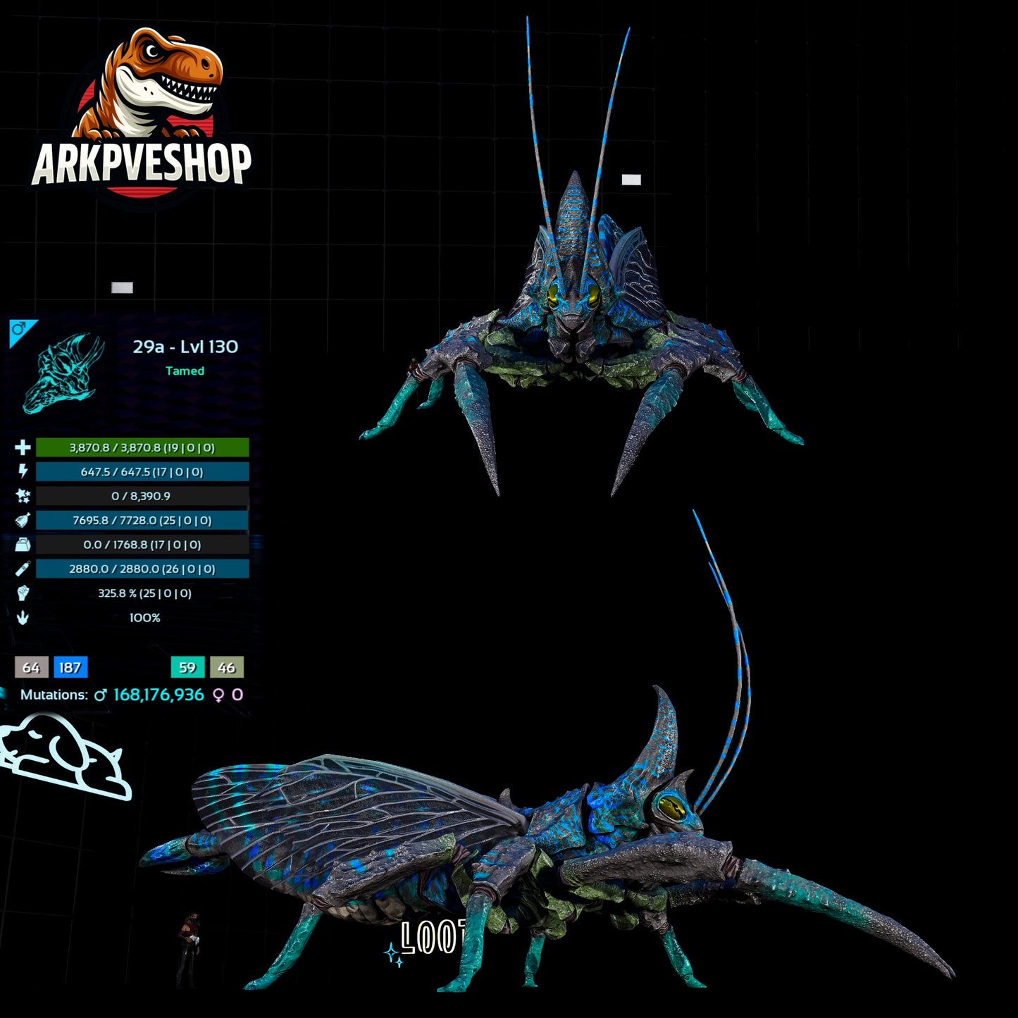 Rhyniognatha Rhynio High&Low Lvls