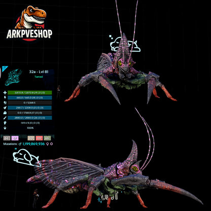 Rhyniognatha Rhynio High&Low Lvls