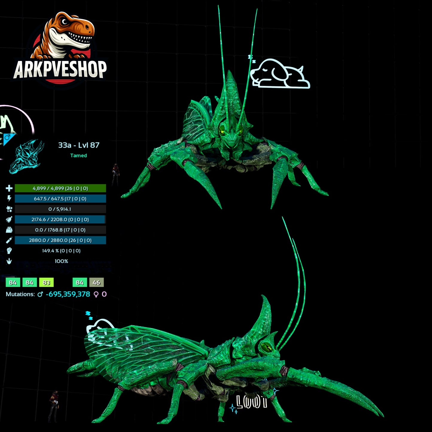 Rhyniognatha Rhynio High&Low Lvls