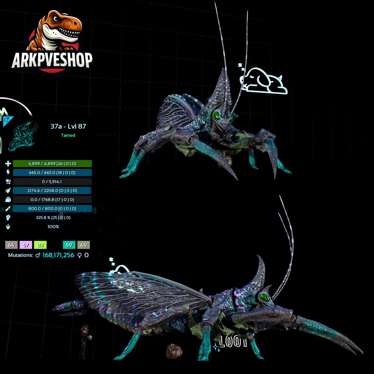 Rhyniognatha Rhynio High&Low Lvls