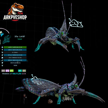 Rhyniognatha Rhynio High&Low Lvls