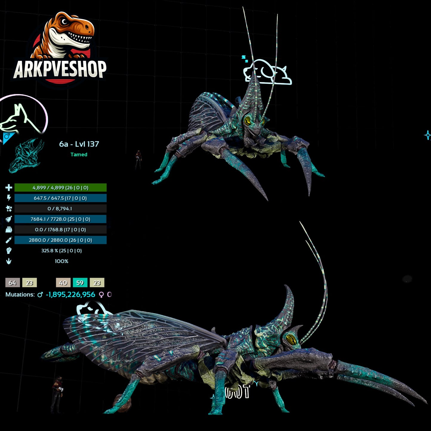 Rhyniognatha Rhynio High&Low Lvls