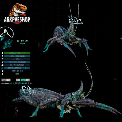 Rhyniognatha Rhynio High&Low Lvls