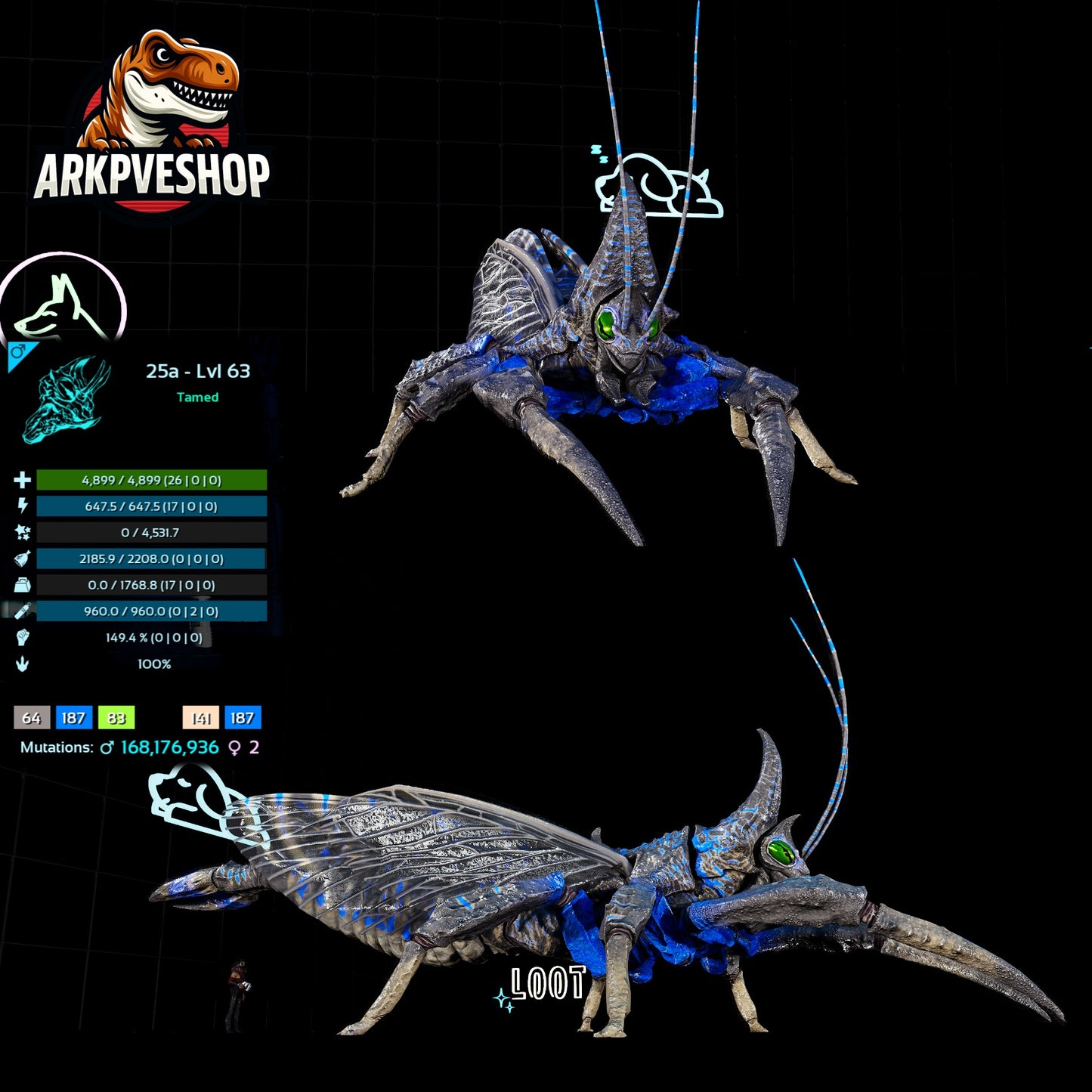 Rhyniognatha Rhynio High&Low Lvls