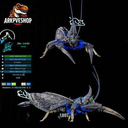 Rhyniognatha Rhynio High&Low Lvls