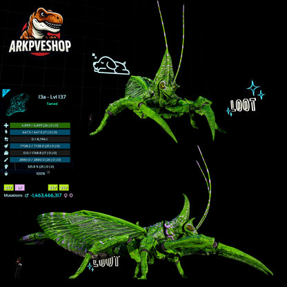 Rhyniognatha Rhynio High&Low Lvls