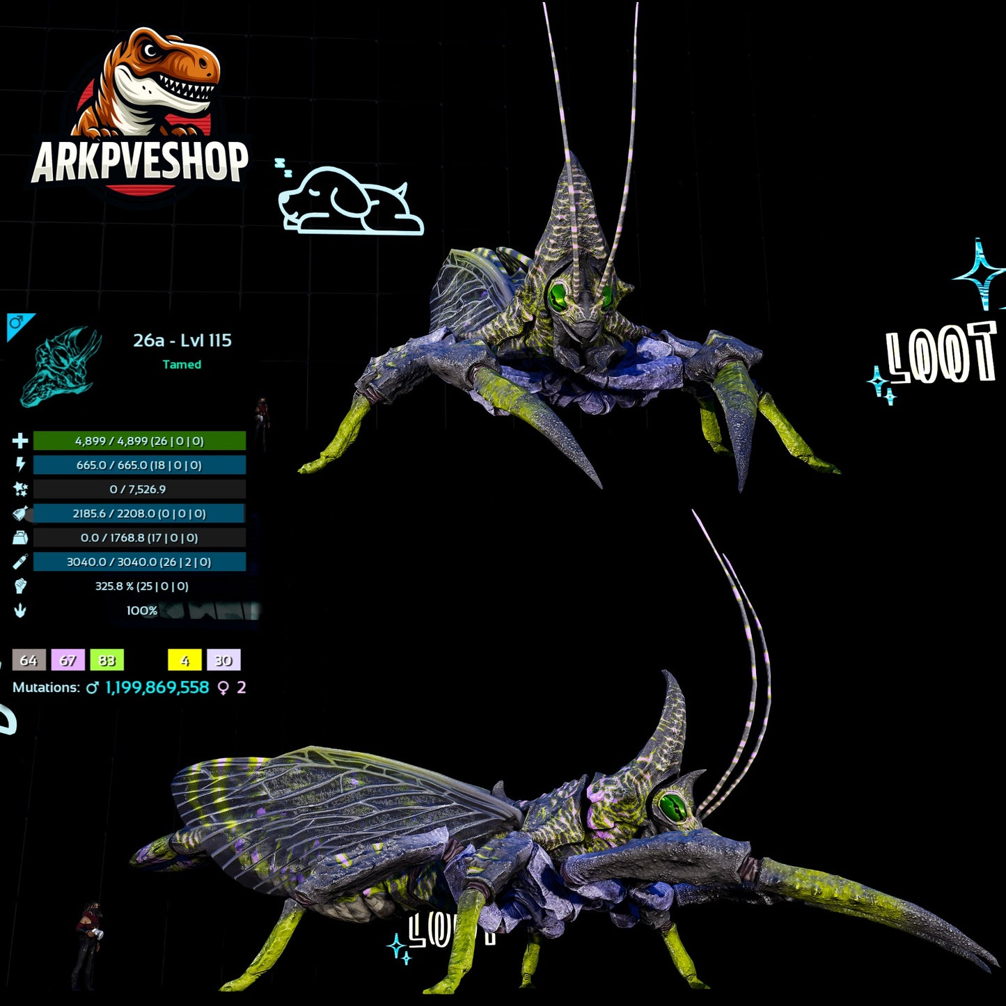 Rhyniognatha Rhynio High&Low Lvls