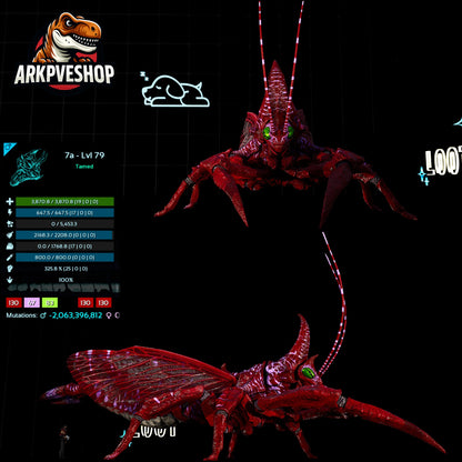 Rhyniognatha Rhynio High&Low Lvls