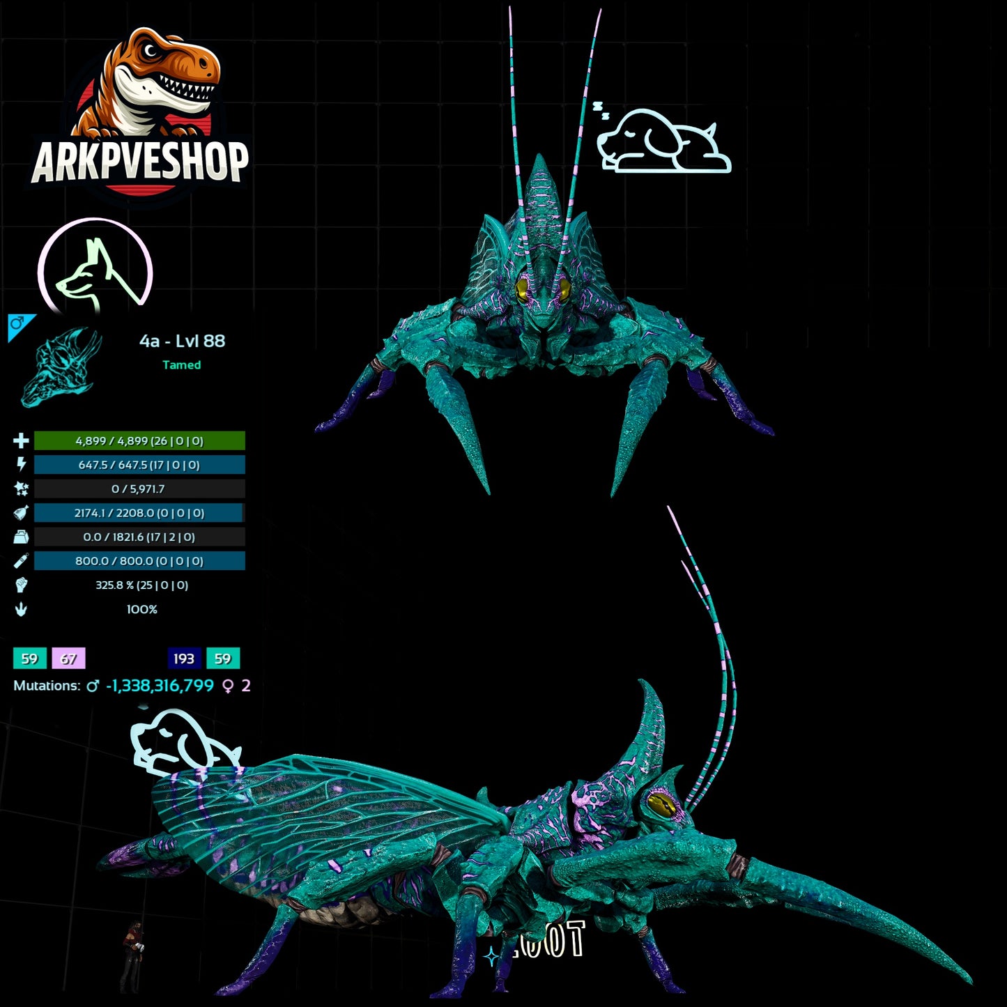 Rhyniognatha Rhynio High&Low Lvls