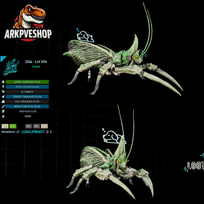 Rhyniognatha Rhynio High&Low Lvls