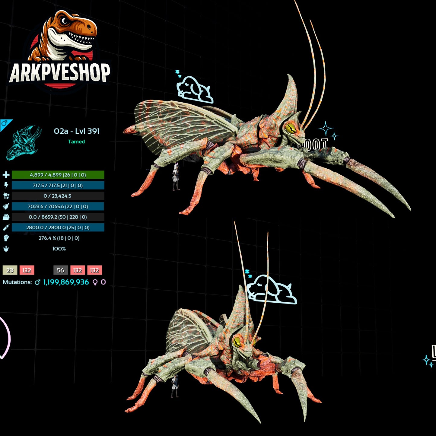 Rhyniognatha Rhynio High&Low Lvls