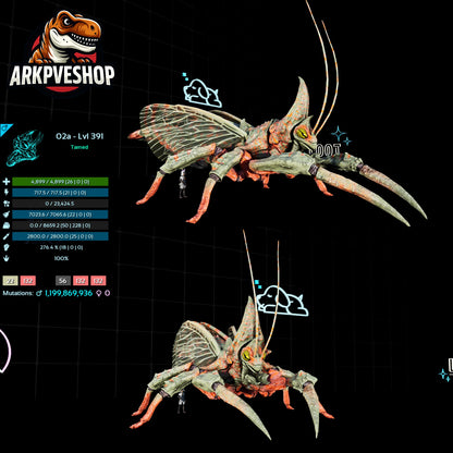 Rhyniognatha Rhynio High&Low Lvls