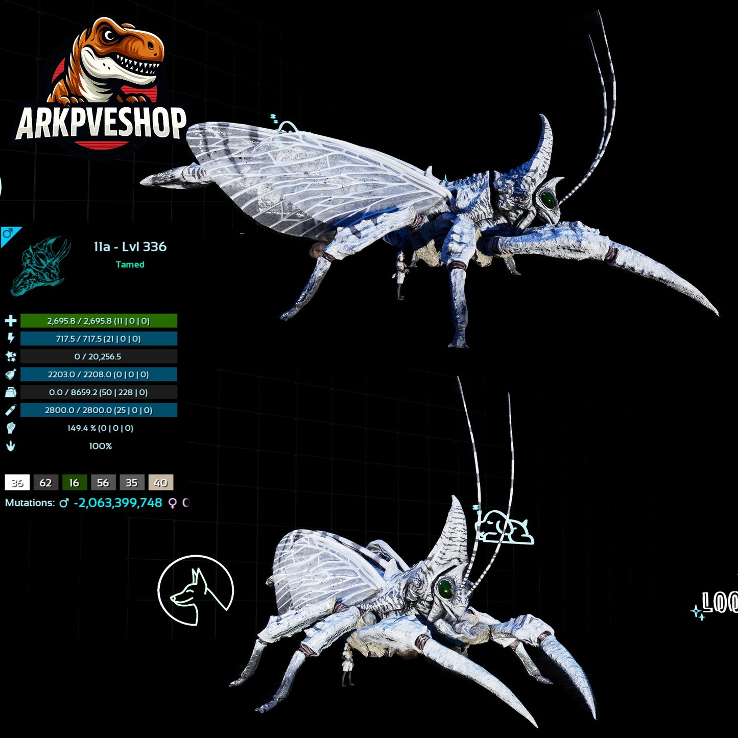 Rhyniognatha Rhynio High&Low Lvls
