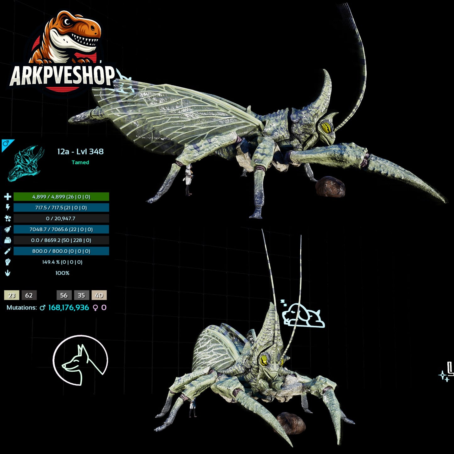 Rhyniognatha Rhynio High&Low Lvls