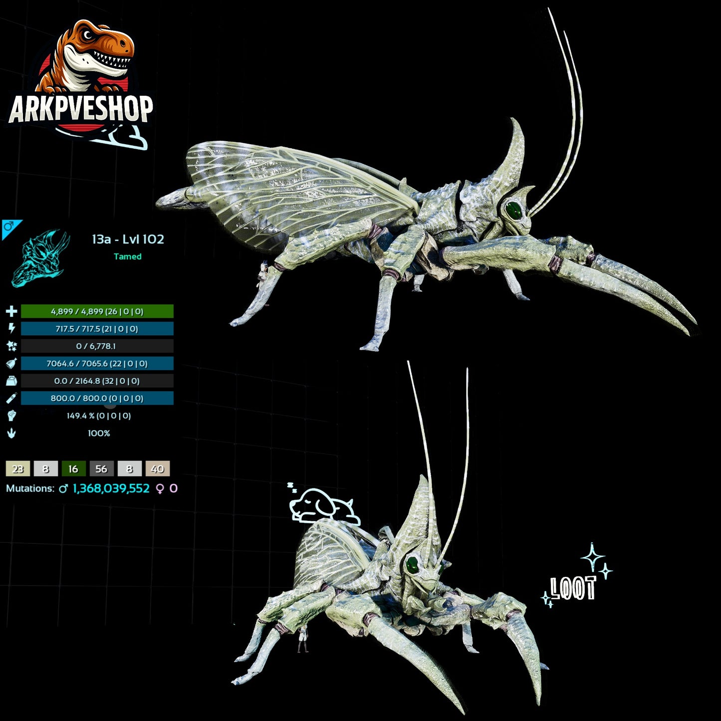Rhyniognatha Rhynio High&Low Lvls