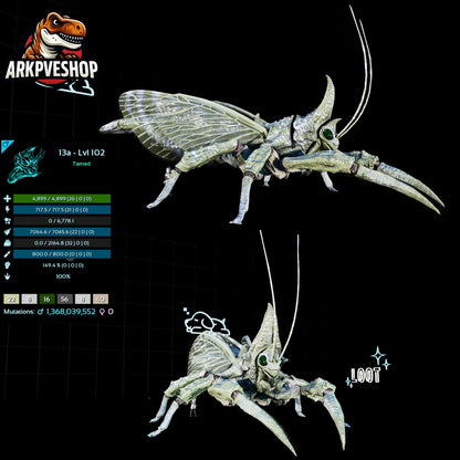 Rhyniognatha Rhynio High&Low Lvls
