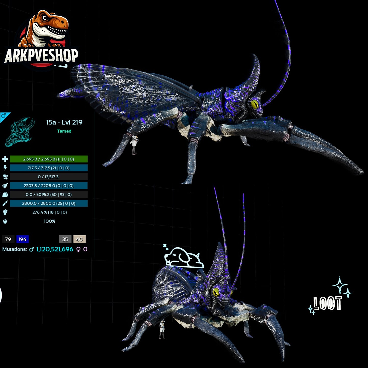 Rhyniognatha Rhynio High&Low Lvls