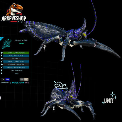 Rhyniognatha Rhynio High&Low Lvls
