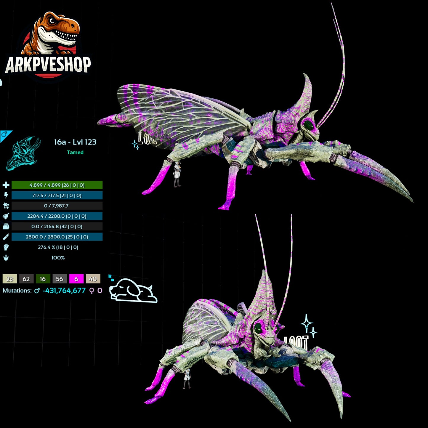 Rhyniognatha Rhynio High&Low Lvls