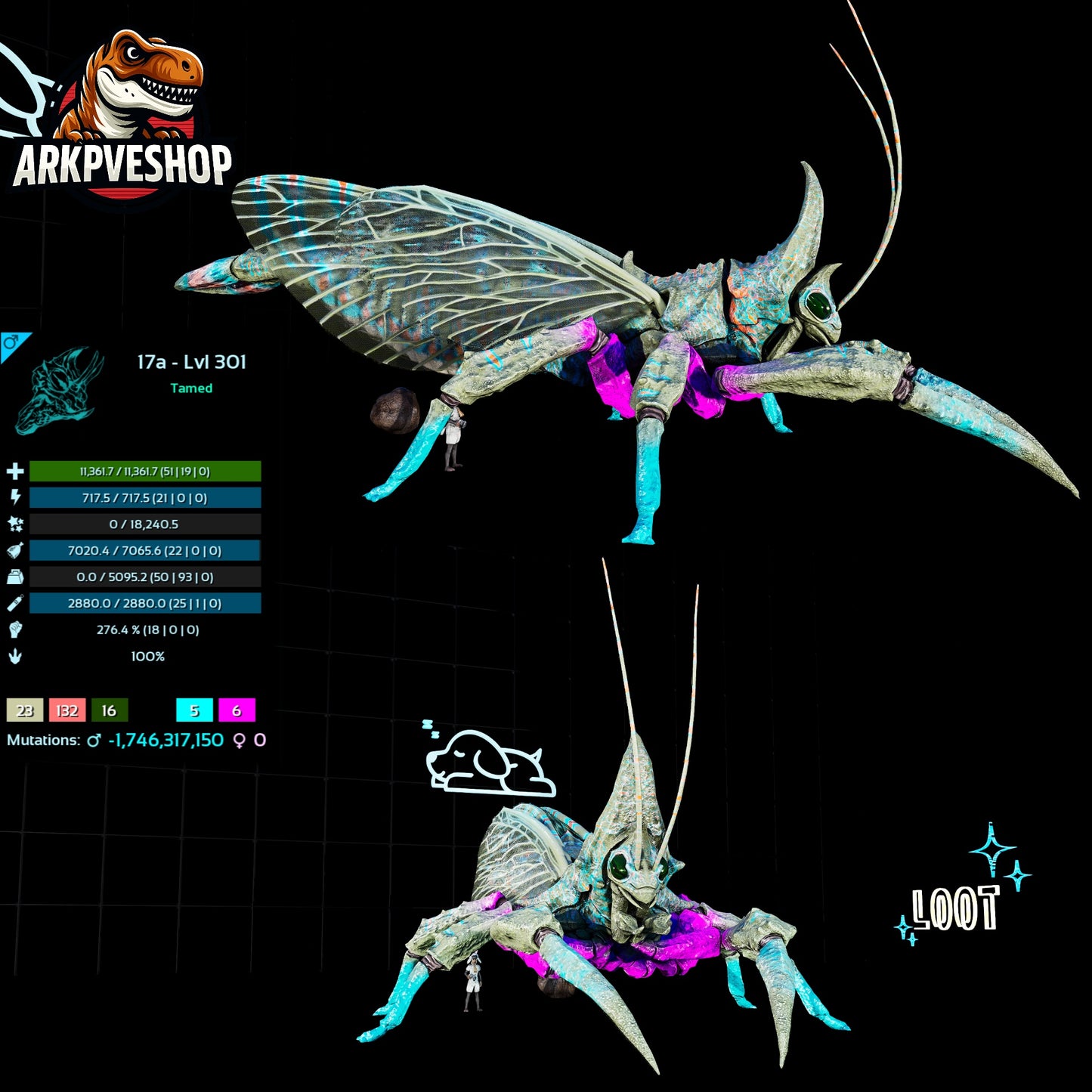 Rhyniognatha Rhynio High&Low Lvls