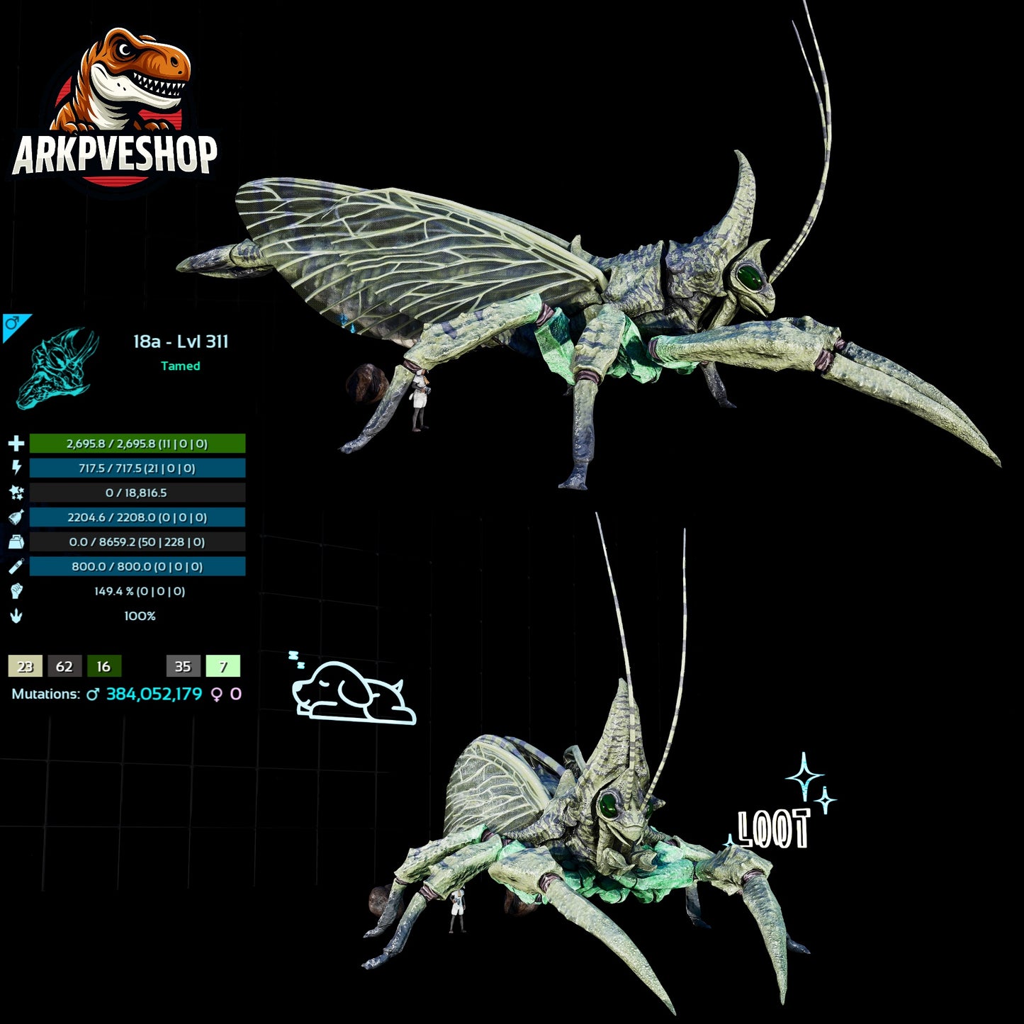 Rhyniognatha Rhynio High&Low Lvls