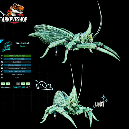Rhyniognatha Rhynio High&Low Lvls