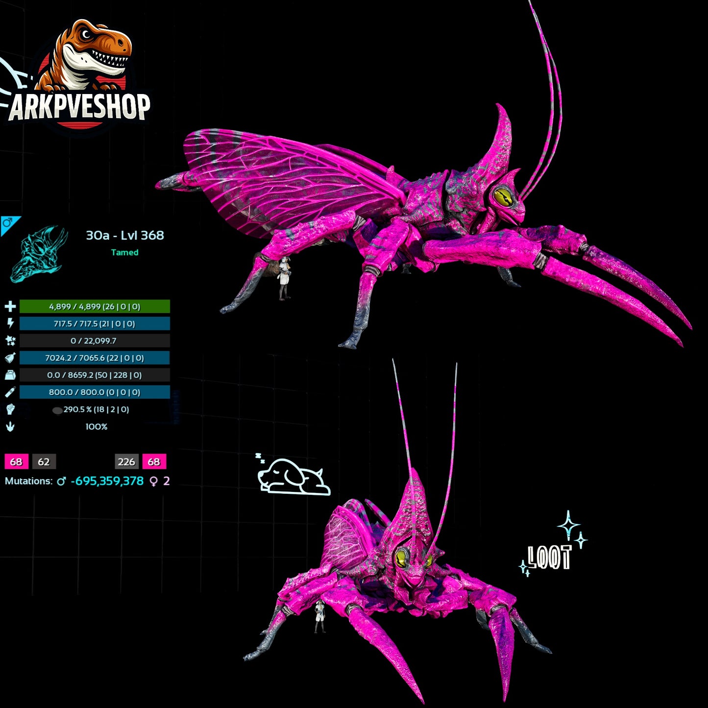 Rhyniognatha Rhynio High&Low Lvls