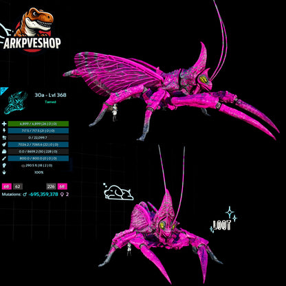 Rhyniognatha Rhynio High&Low Lvls