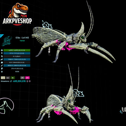 Rhyniognatha Rhynio High&Low Lvls