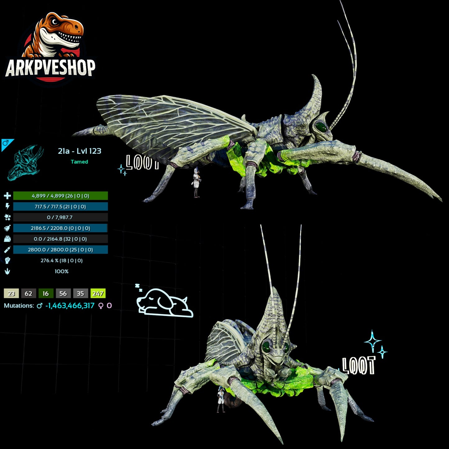 Rhyniognatha Rhynio High&Low Lvls