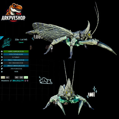Rhyniognatha Rhynio High&Low Lvls